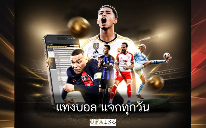 แทงบอล แจกทุกวัน