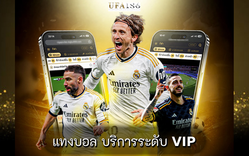 แทงบอล บริการระดับ VIP