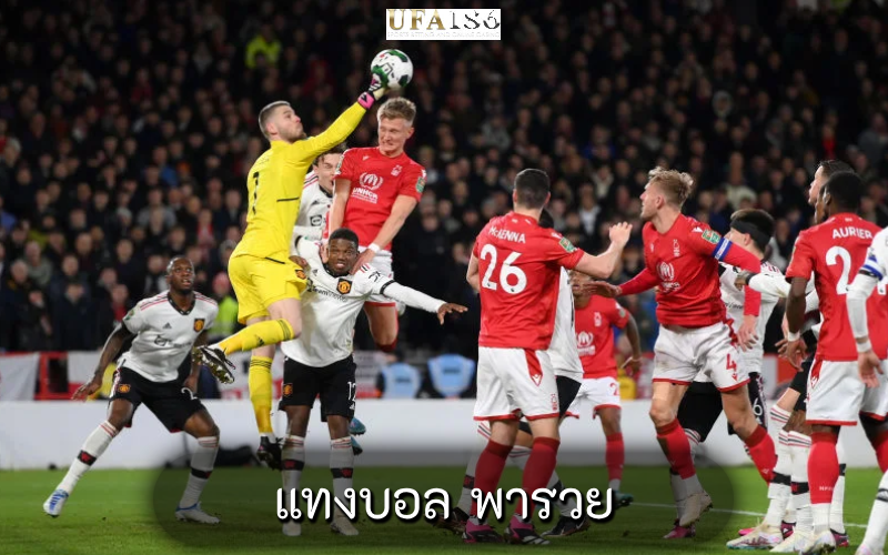 แทงบอล พารวย