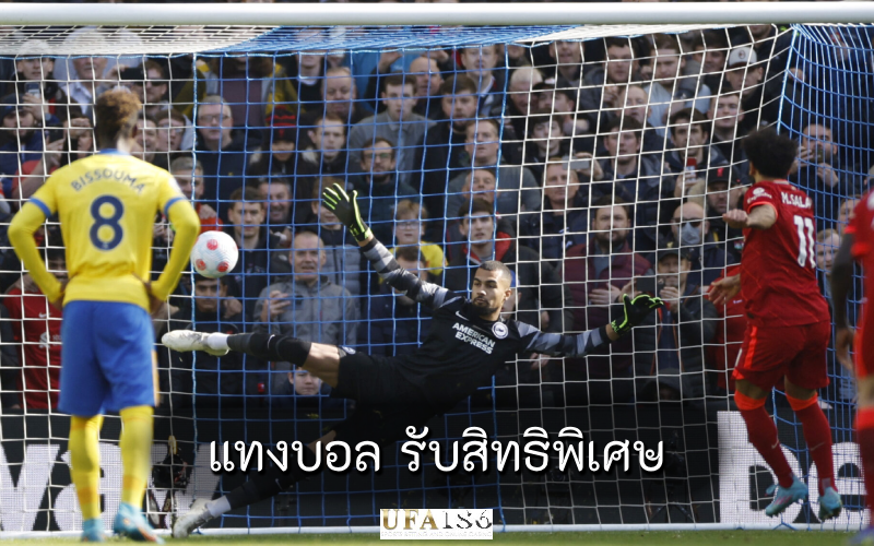 แทงบอล รับสิทธิพิเศษ